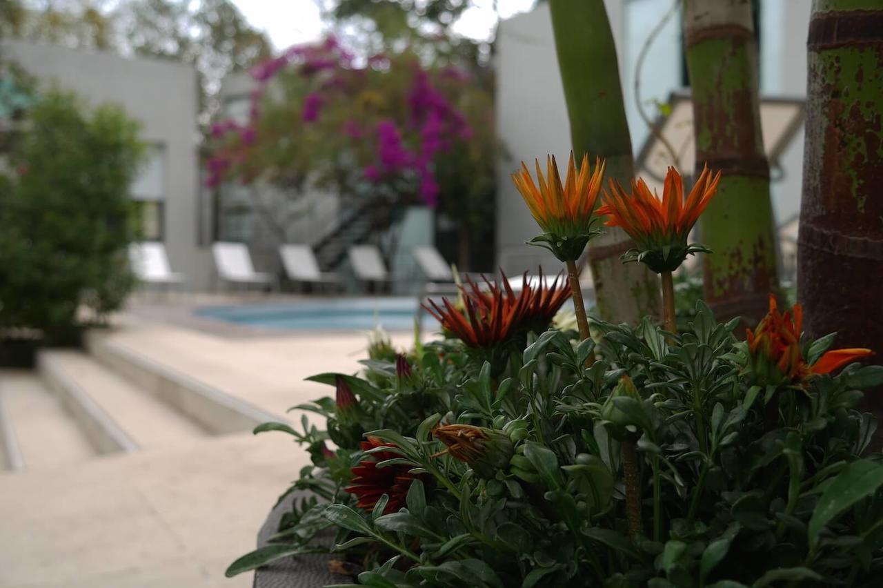 Bed and Breakfast Casa Tepoztlán Zewnętrze zdjęcie